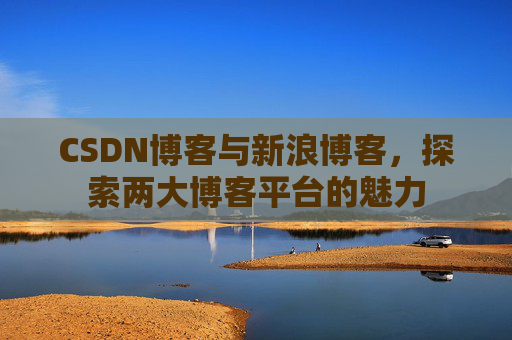 CSDN博客与新浪博客，探索两大博客平台的魅力